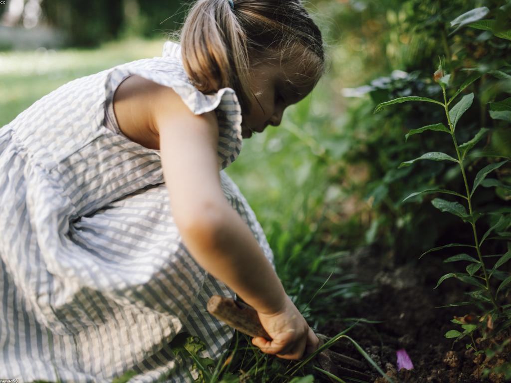 កម្មវិធី iOS សម្រាប់ការអប់រំ