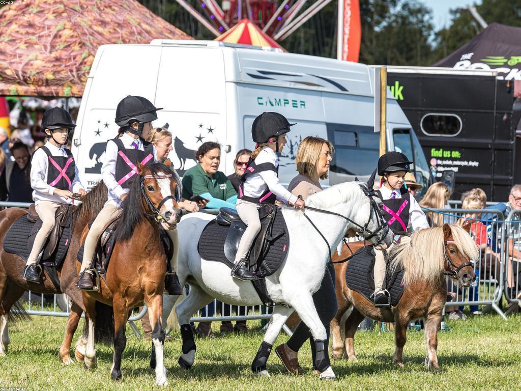 អត្ថប្រយោជន៍នៃការចូលរួមប្រកួតសម្រាប់កុមារ